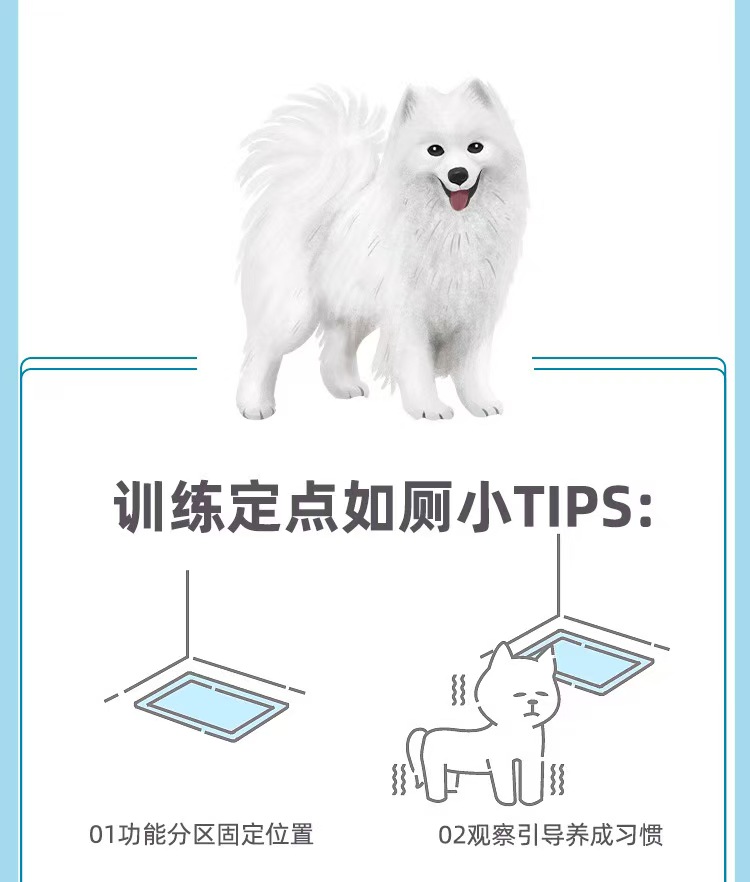 宠物清洁尿片加大加厚护理垫狗狗尿垫训练垫防渗透尿不湿宠物厕所一件代发批发多规格下单请联系客服详情13