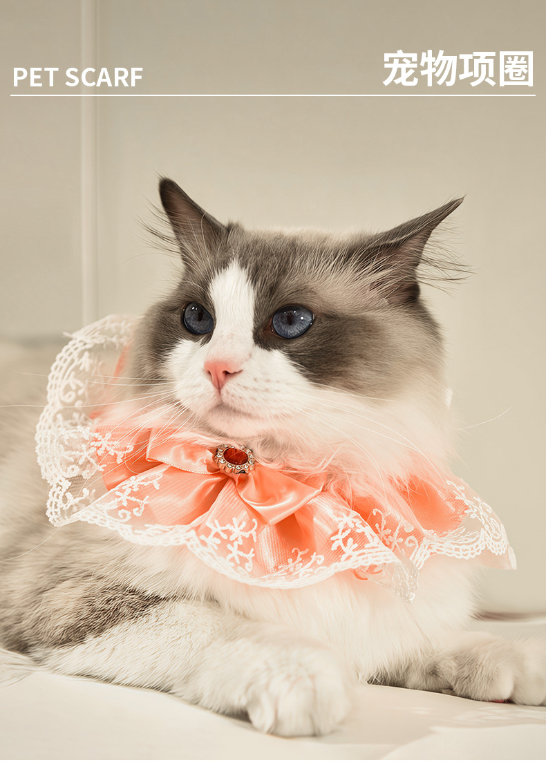 Pet bibs, kitten scarves, gemstone scarves, cat bibs, lace bows, saliva wipes, cross-border export wholesale pic 1