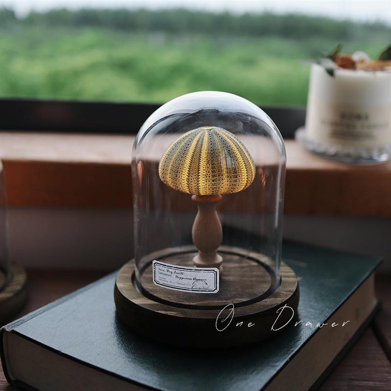手工diy/海螺灯细节图