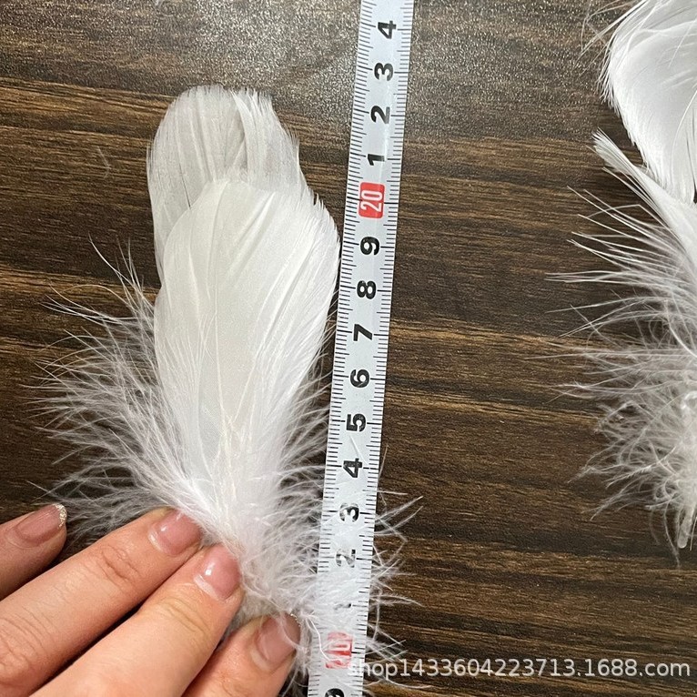 鹅毛/波波球填充/翅膀装饰/中飘羽毛白底实物图