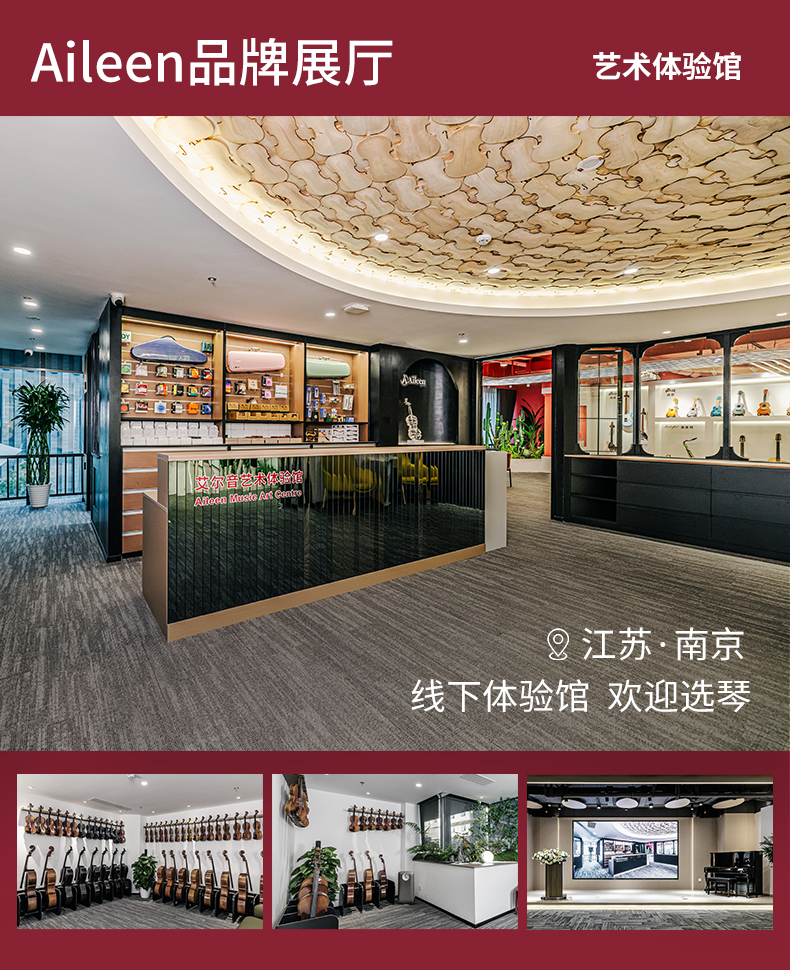 XV17 全尺寸初学者小提琴 云杉枫木 乌木配件 碳纤维拉板 刮筋工艺 附琴盒弓松香套装详情2