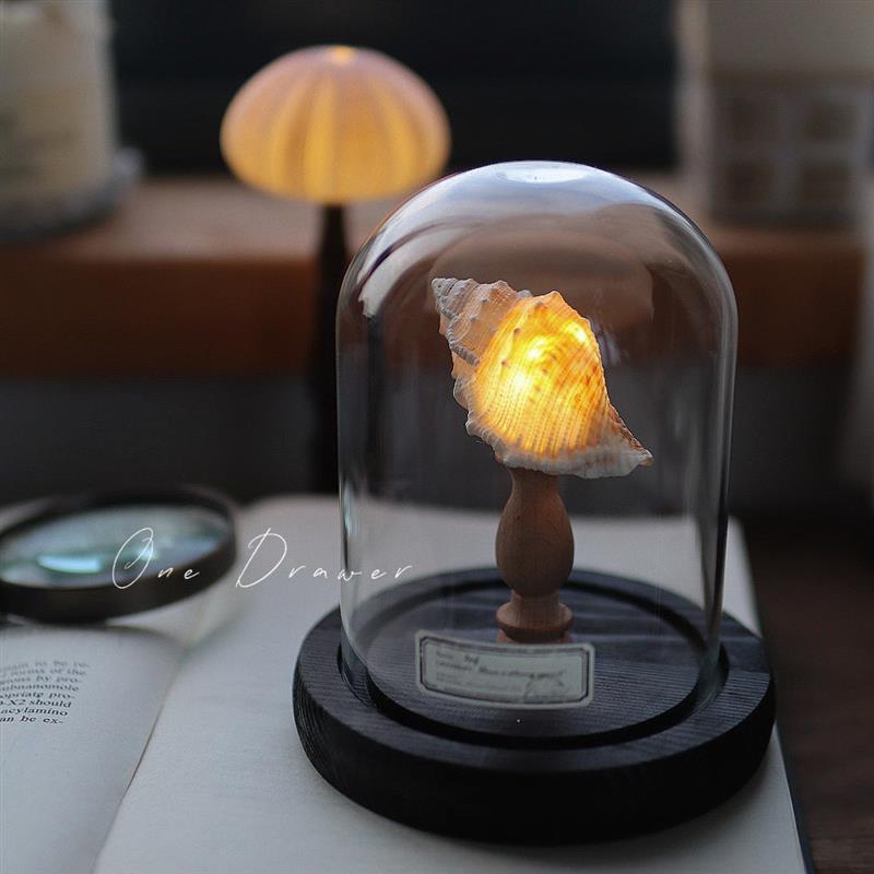 手工diy/海螺灯产品图
