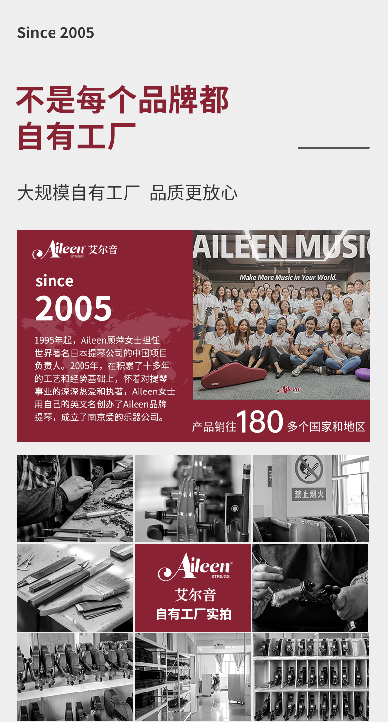 XV17 全尺寸初学者小提琴 云杉枫木 乌木配件 碳纤维拉板 刮筋工艺 附琴盒弓松香套装详情3