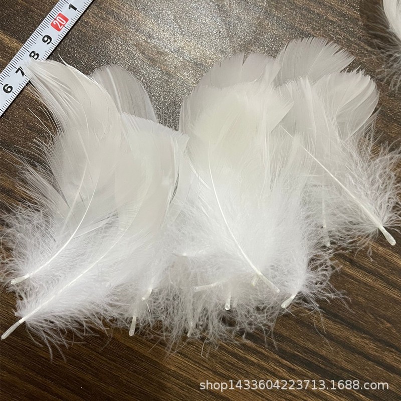 鹅毛/波波球填充/翅膀装饰/中飘羽毛产品图
