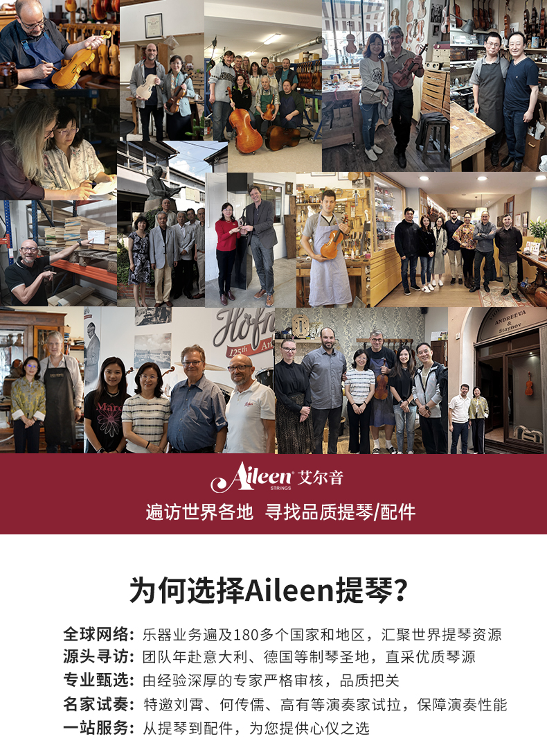 XV17 全尺寸初学者小提琴 云杉枫木 乌木配件 碳纤维拉板 刮筋工艺 附琴盒弓松香套装详情5