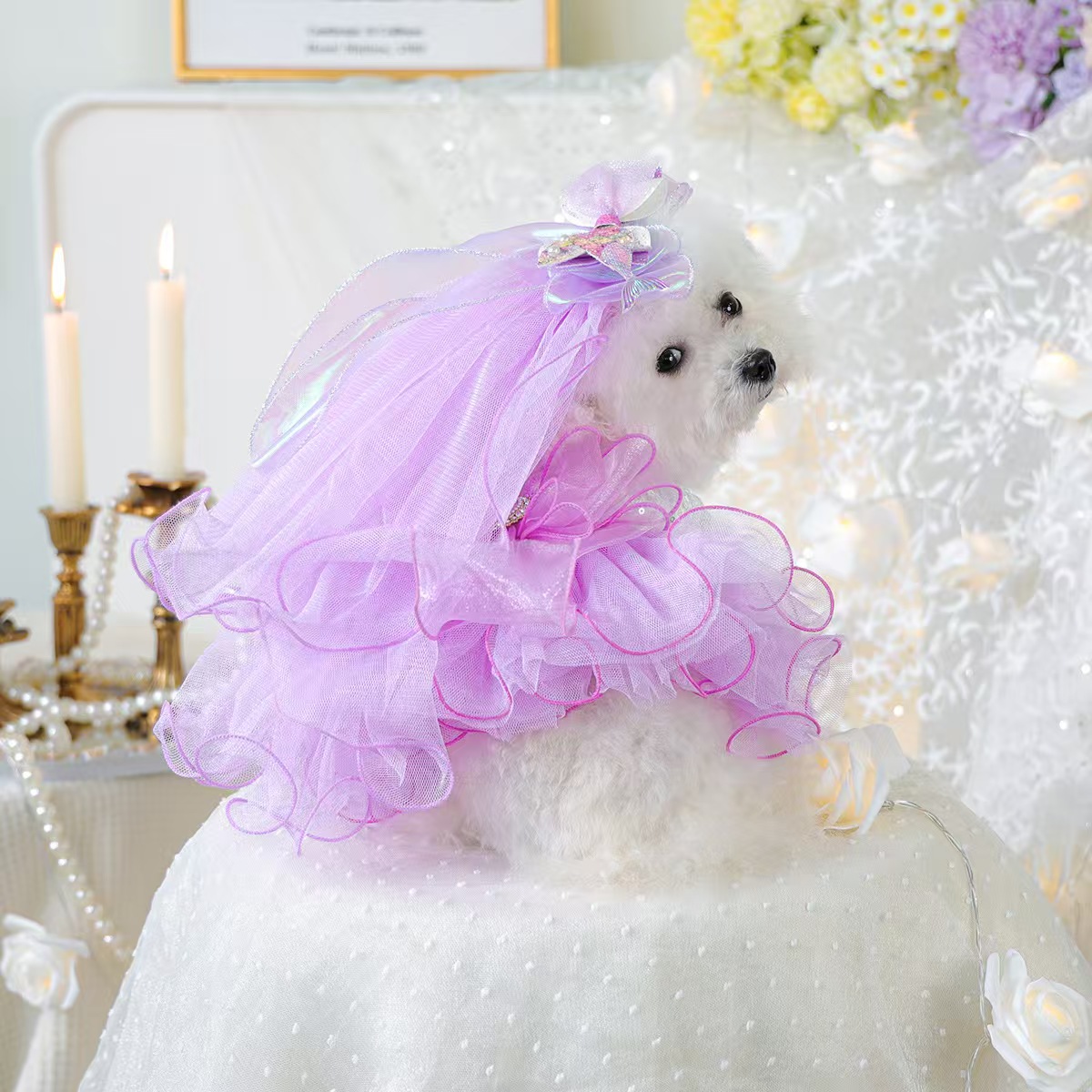 Pet circle small and medium-sized dog clothes, pet supplies, dog and cat clothes, wedding veils, dreamy fairy wedding dresses, spring and summer gauze skirt combinations, various styles and sizes, cross-border foreign trade e-commerce wholesale orders, please contact customer service Item Picture