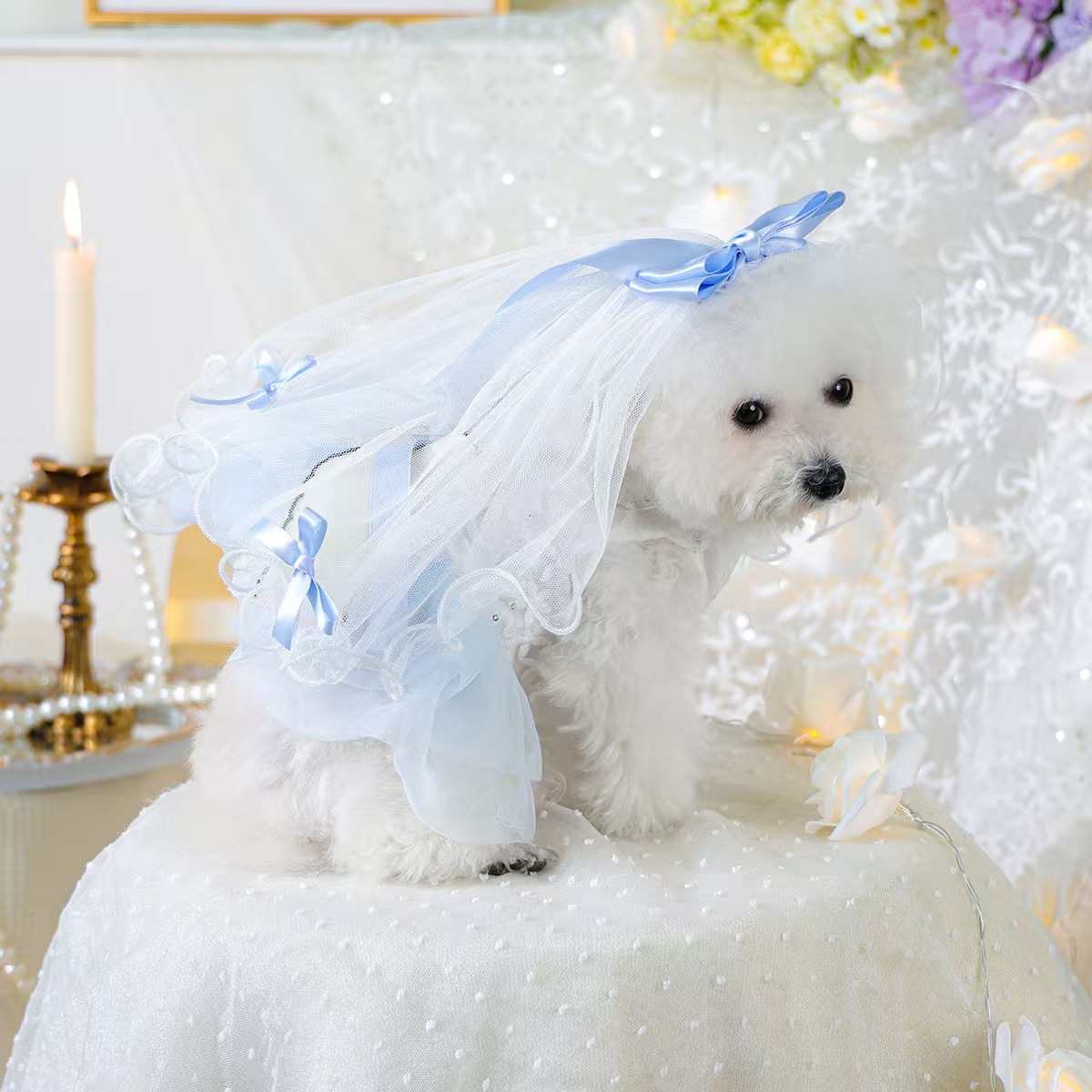 宠物圈中小型犬衣服宠物用品狗狗猫猫衣服婚礼头纱梦幻仙子婚纱春夏纱裙组合多款式多尺寸跨境外贸电商批发下单请联系客服哦