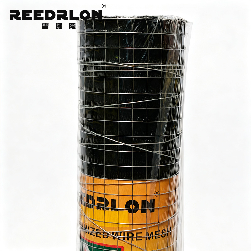 Welded Wire Mesh Weided Wire Mesh square hole galvanized mesh