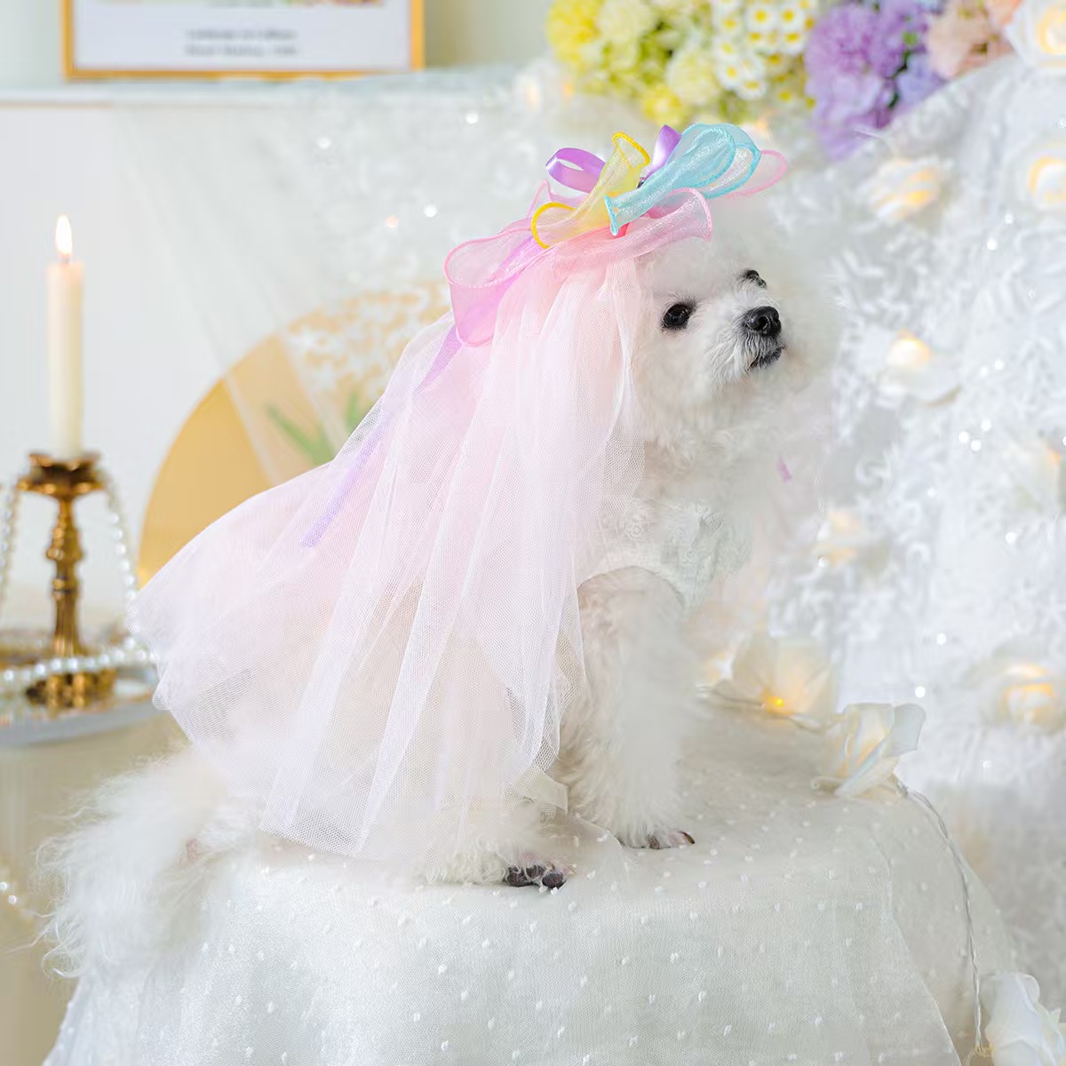 Pet circle small and medium-sized dog clothes, pet supplies, dog and cat clothes, wedding veils, dreamy fairy wedding dresses, spring and summer gauze skirt combinations, various styles and sizes, cross-border foreign trade e-commerce wholesale orders, please contact customer service Specification image