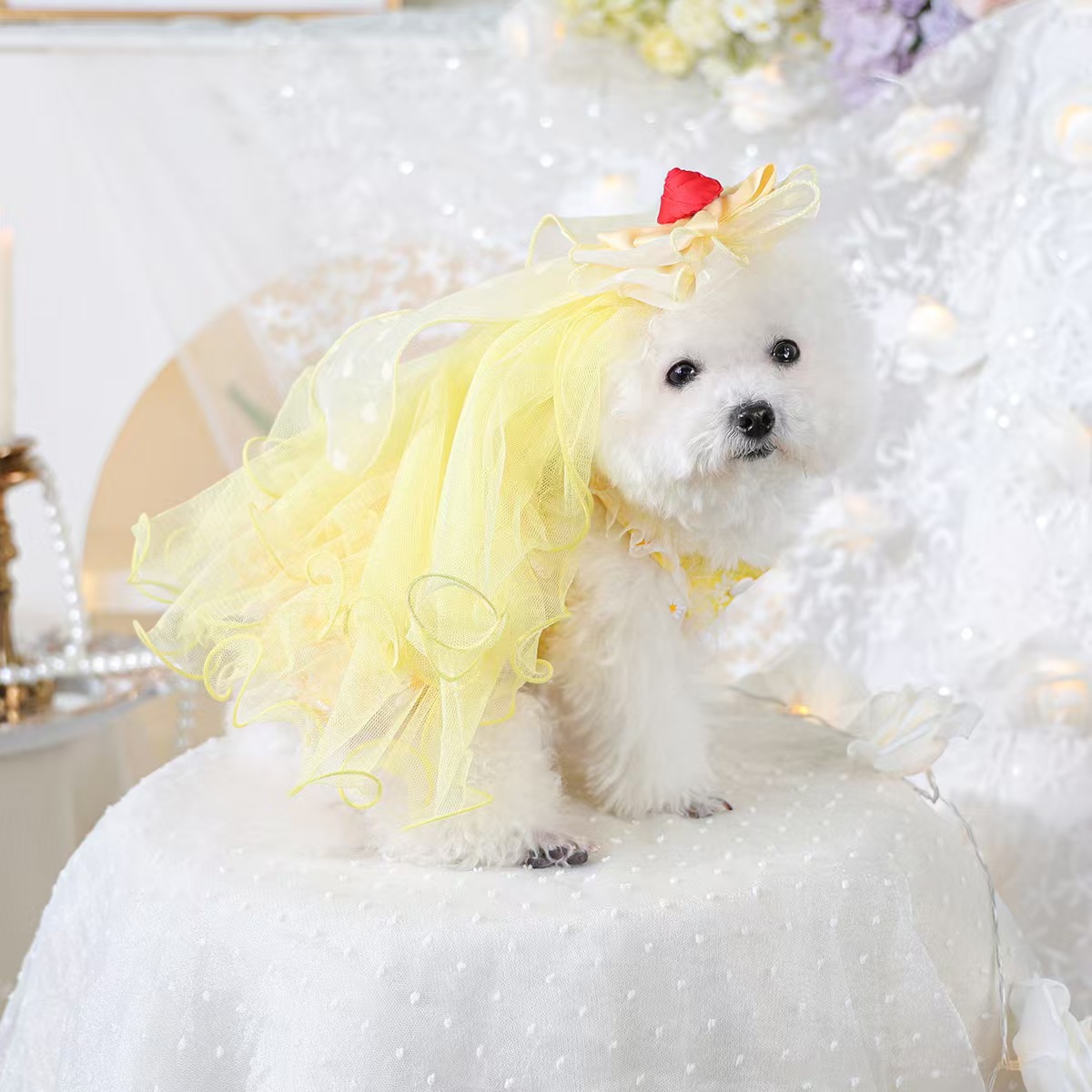Pet circle small and medium-sized dog clothes, pet supplies, dog and cat clothes, wedding veils, dreamy fairy wedding dresses, spring and summer gauze skirt combinations, various styles and sizes, cross-border foreign trade e-commerce wholesale orders, please contact customer service details Picture