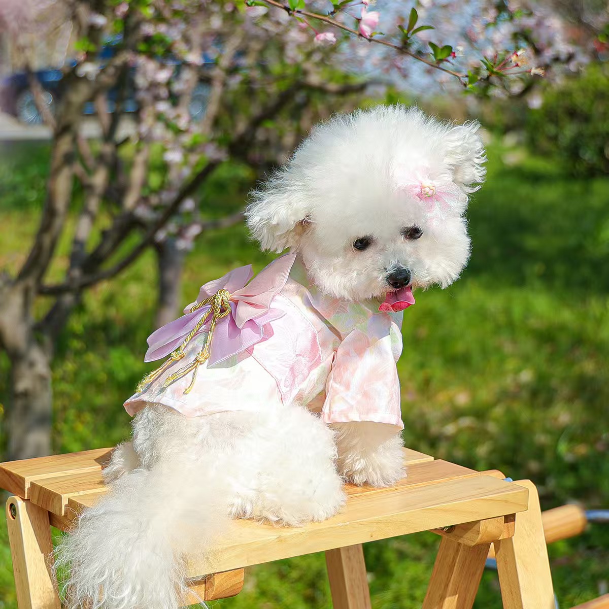 Pet clothes, teddy, bichlion, small and medium-sized dog clothing, heavy industry maid, floral dress collection, princess lace, pet clothes, comfortable silk clothes, pet pajamas, yukata, multiple styles and sizes. For orders, please contact customer service Specification image