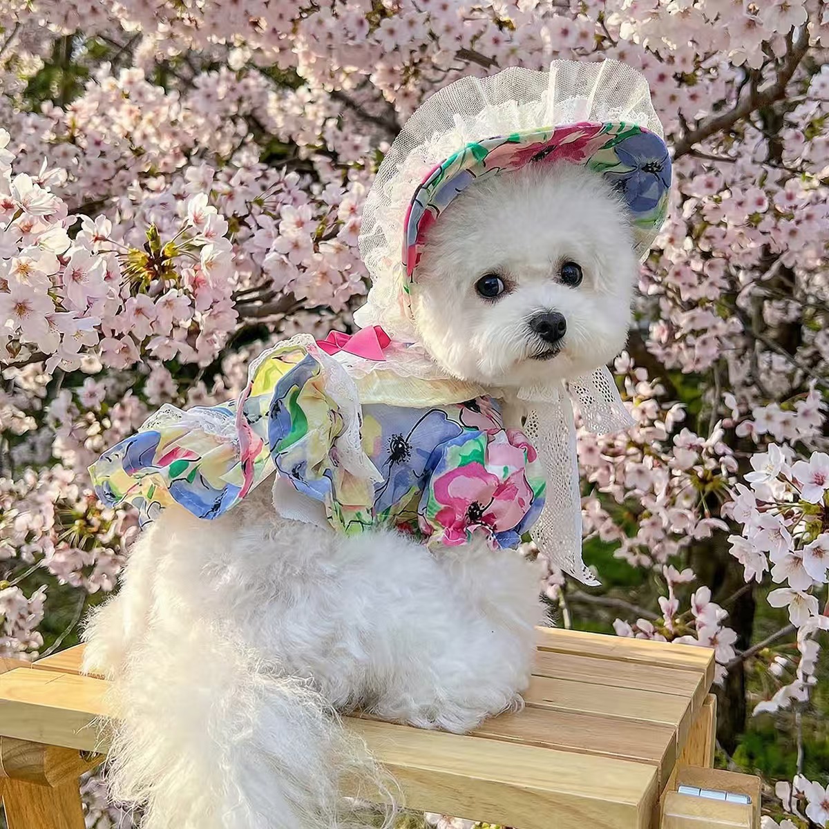 Pet clothes, teddy, bichlion, small and medium-sized dog clothing, heavy industry maid, floral dress collection, princess lace, pet clothes, comfortable silk clothes, pet pajamas, yukata, multiple styles and sizes. For orders, please contact customer service details Picture