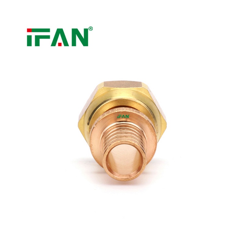 IFAN Standard 1/2"-2" Reducer CW617N Brass Plumbing Fittings details Picture