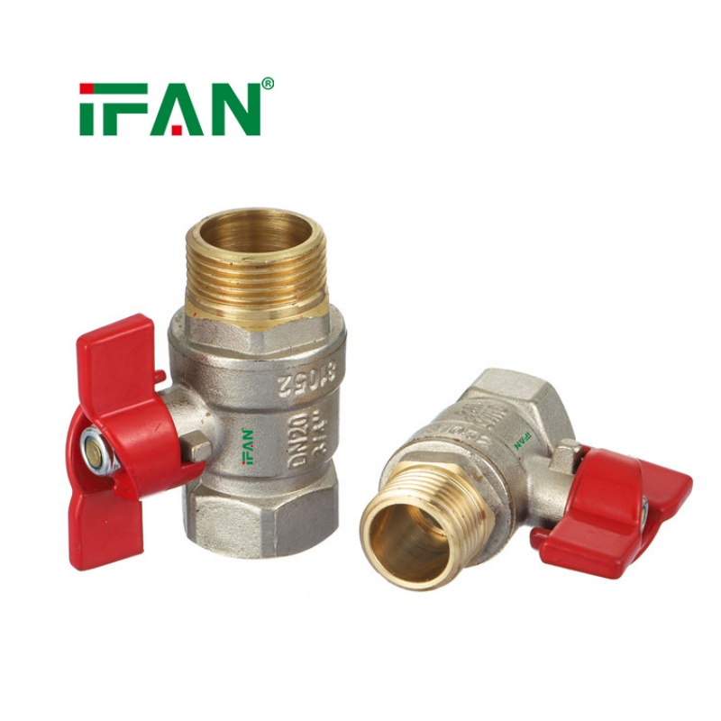 IFAN All Type Brass Valve Customized Female Male Threaded 