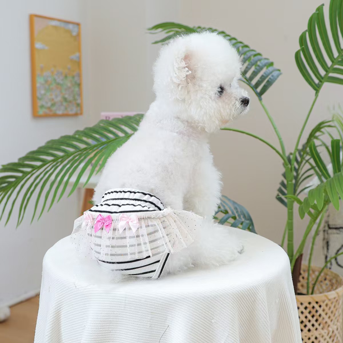 Pet dog physiological pants, cute skirt hem lace pants, sanitary pants, small dog and puppy physiological pants, pet supplies, checkered menstrual pants. Multiple styles and sizes available for wholesale. For cross-border orders, please contact customer service Application Scenario
