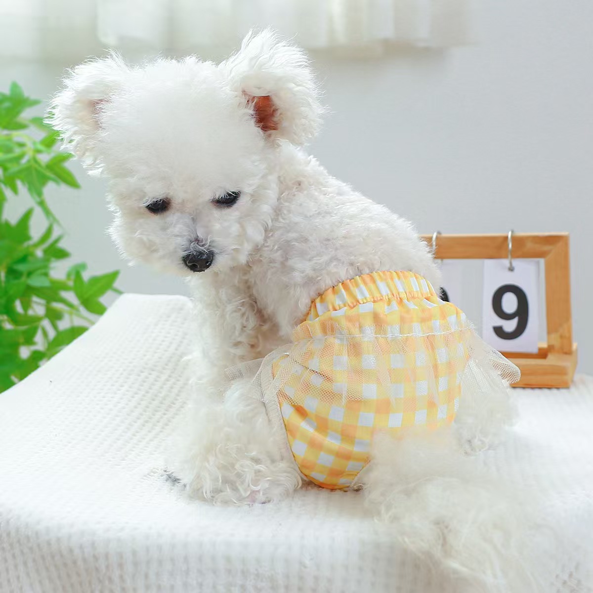 Pet dog physiological pants, cute skirt hem lace pants, sanitary pants, small dog and puppy physiological pants, pet supplies, checkered menstrual pants. Multiple styles and sizes available for wholesale. For cross-border orders, please contact customer service Specification image