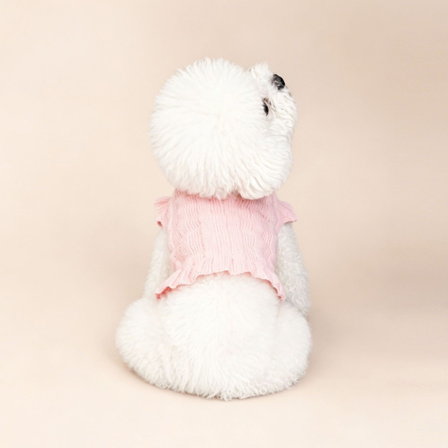 The dog Spring and Autumn plush knitted sweater with black ear trim and small flying sleeves is designed as a small soft and sticky pet coat for dogs Specification image