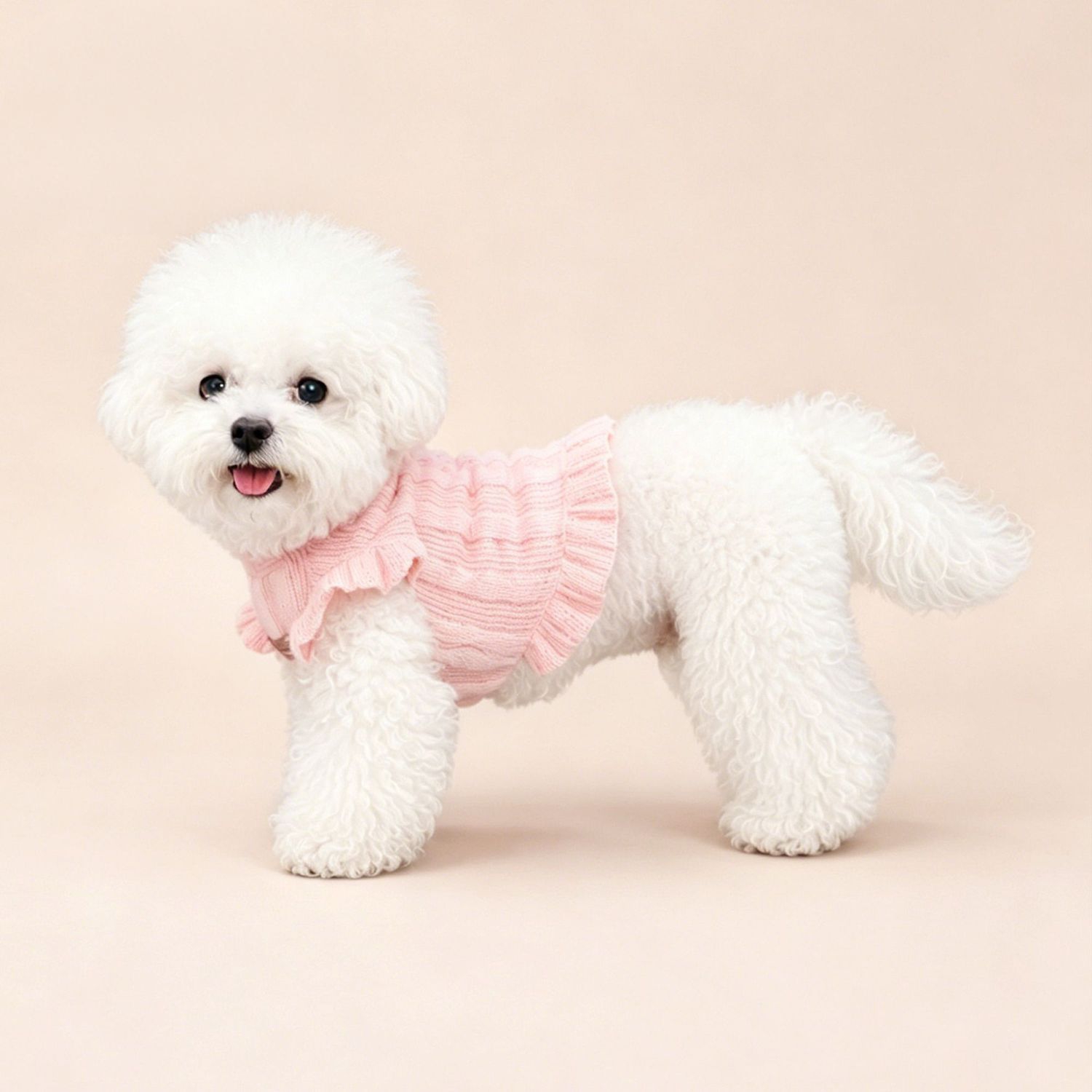 The dog Spring and Autumn plush knitted sweater with black ear trim and small flying sleeves is designed as a small soft and sticky pet coat for dogs details Picture