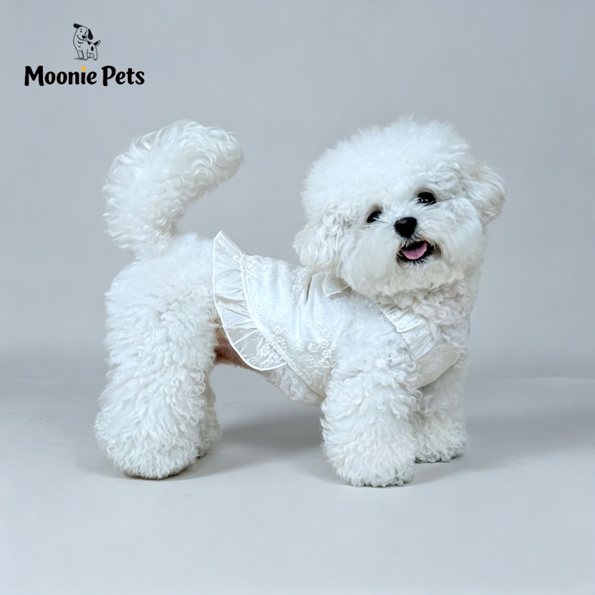 Summer French embroidered halter dress for dogs, Bichon Maltese thin and breathable little princess dress Application Scenario