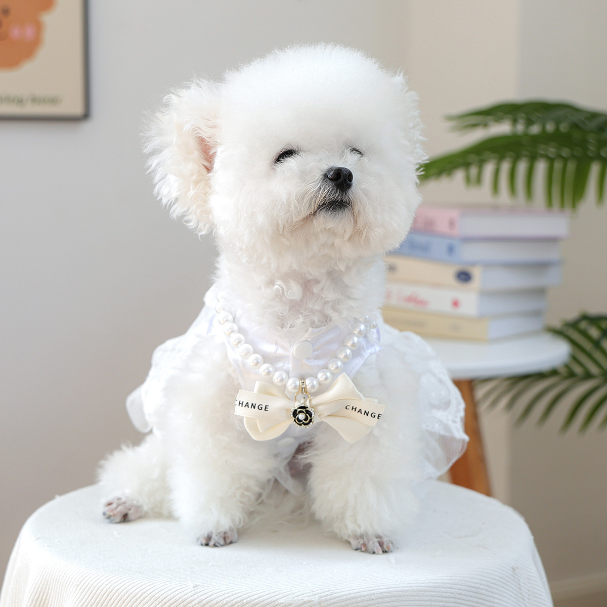 Collar de perlas para perros para gatos para perros pequeños moda para salir accesorios lindos collar de cristal rico muchos estilos y muchas especificaciones para hacer un pedido, póngase en contacto con servicio al cliente Application Scenario