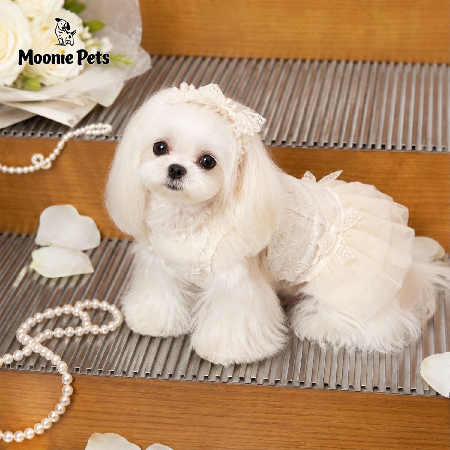 Korean-style pet lace princess chiffon dress, small dog thin breathable halter puffy dress, dog dress