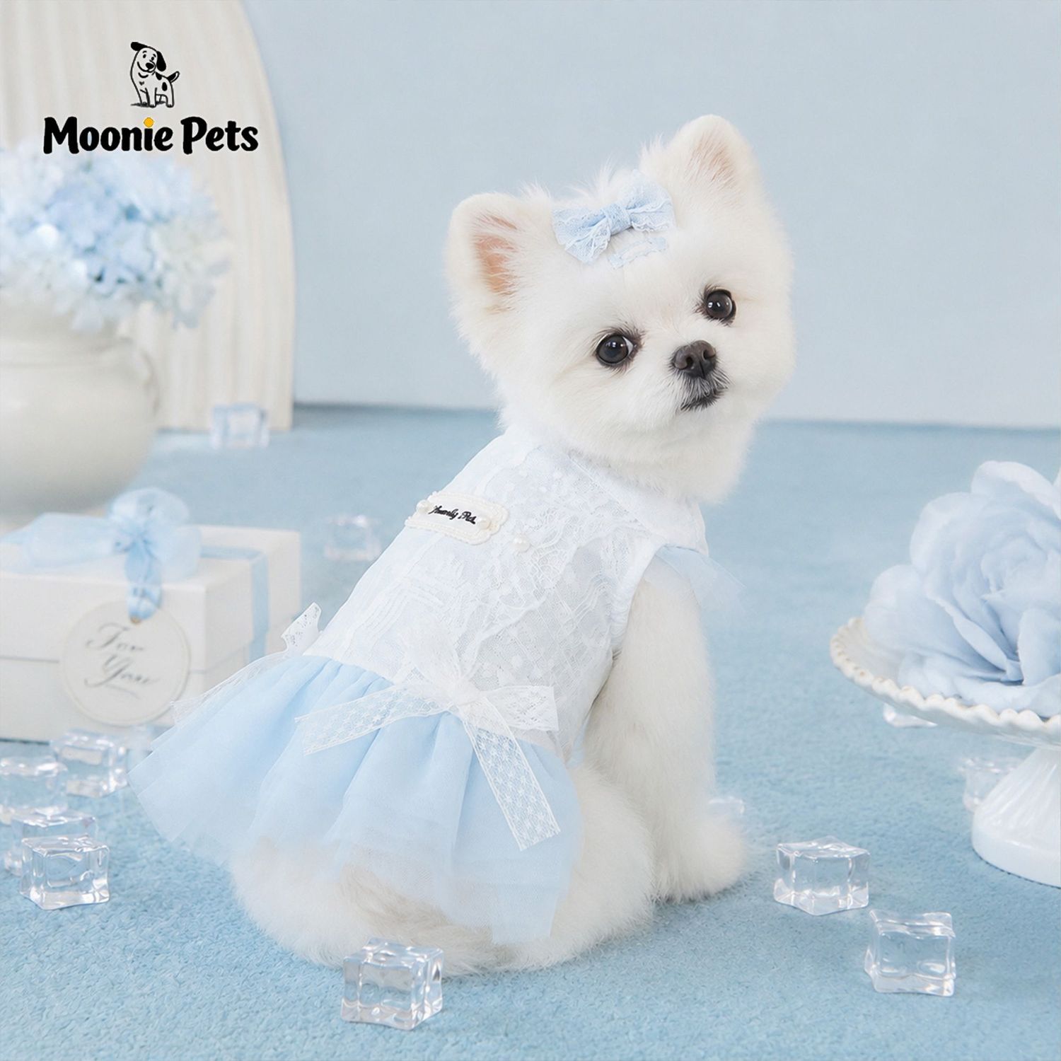 Korean-style pet lace princess chiffon dress, small dog thin breathable halter puffy dress, dog dress details Picture