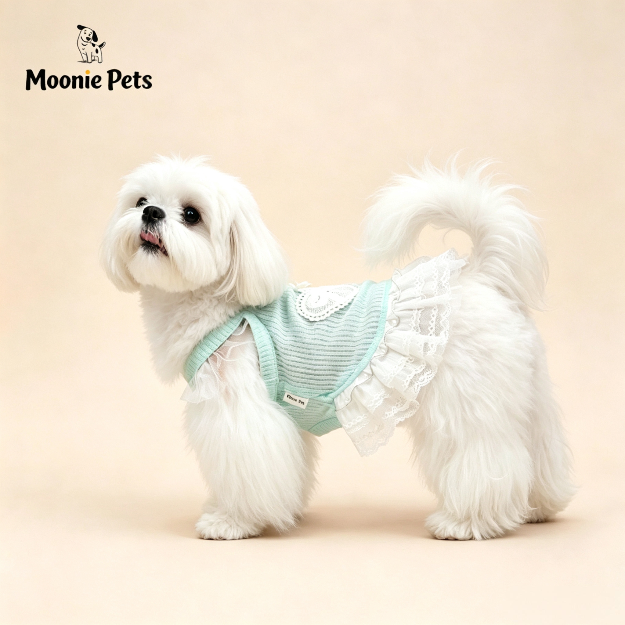 Mint green lace halter dress, small dog Yorkshire, Xishi heart bow breathable vest, pet clothing details Picture