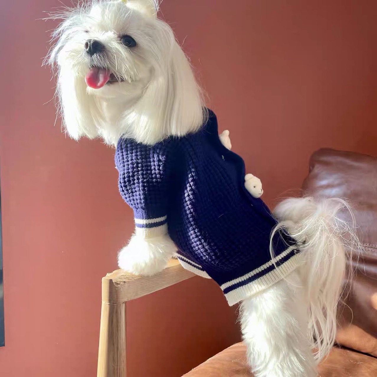 Autumn and winter pet knitted sweater, three-dimensional bear decoration, small dog clothes, Bichon Frise Maltese teddy warm top