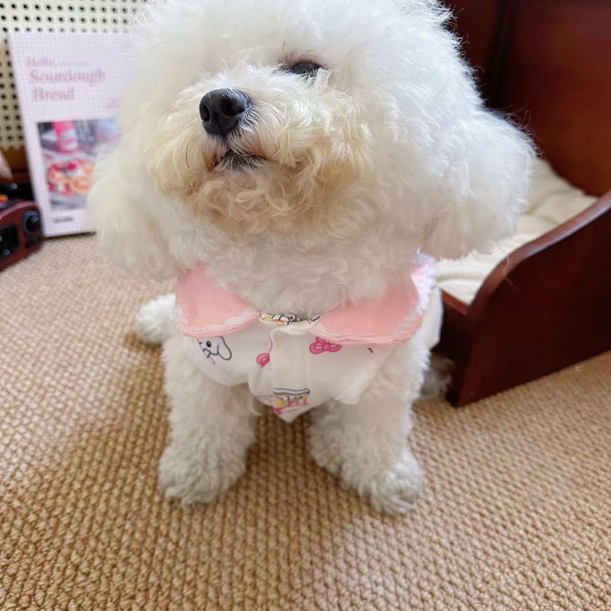 Sweet Lolita pet princess dress, pink collar cartoon print bubble dress, large bow pom-pom, small dog Maltese, dog cat dress Specification image