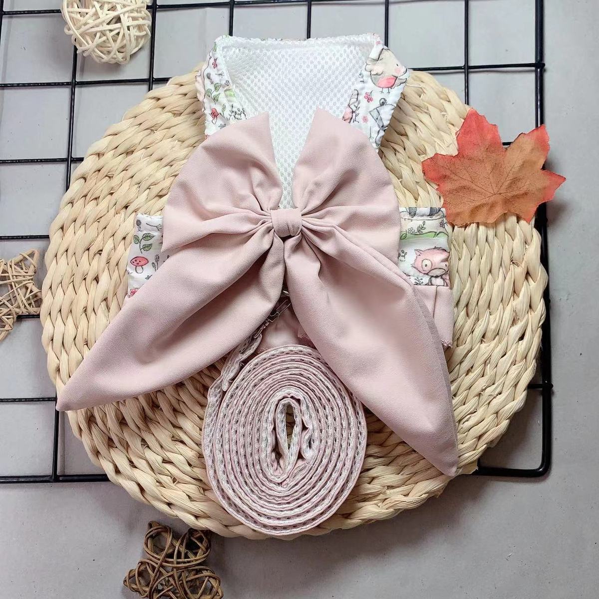 حلاوة حلوة مع حجاب شبكي ممزق من صدر حيوان أليف أليف Item Picture