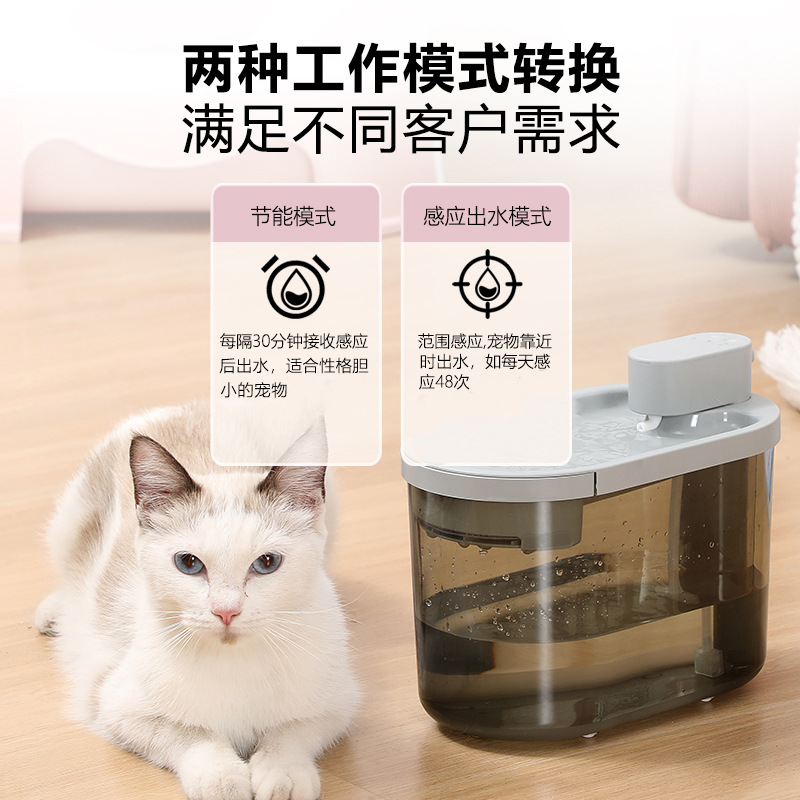 Intelligent circulating water automatic cat water dispenser Application Scenario