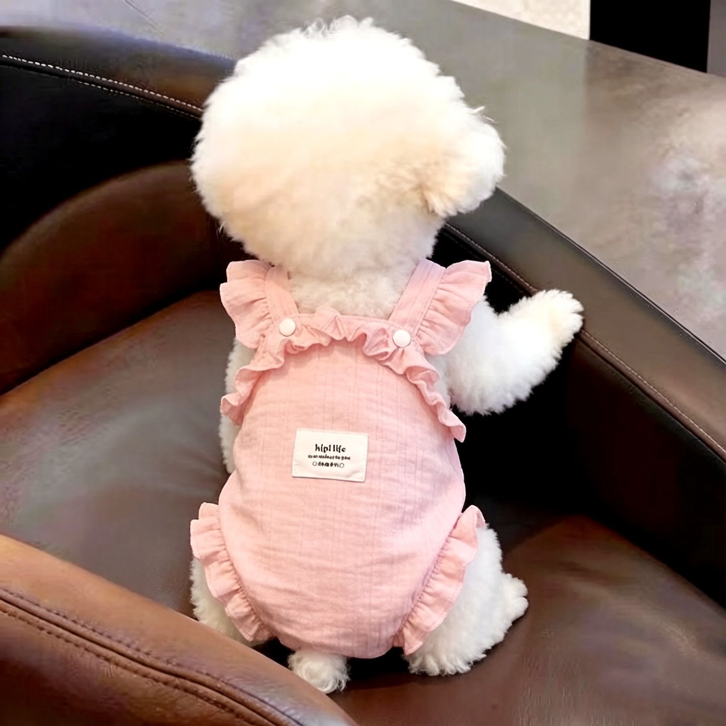 Tian Si Cool Pet Physiological Pants with lotus leaf flapping straps, breathable mesh crotch, anti-disturbance Pet hygiene pants during menstruation details Picture