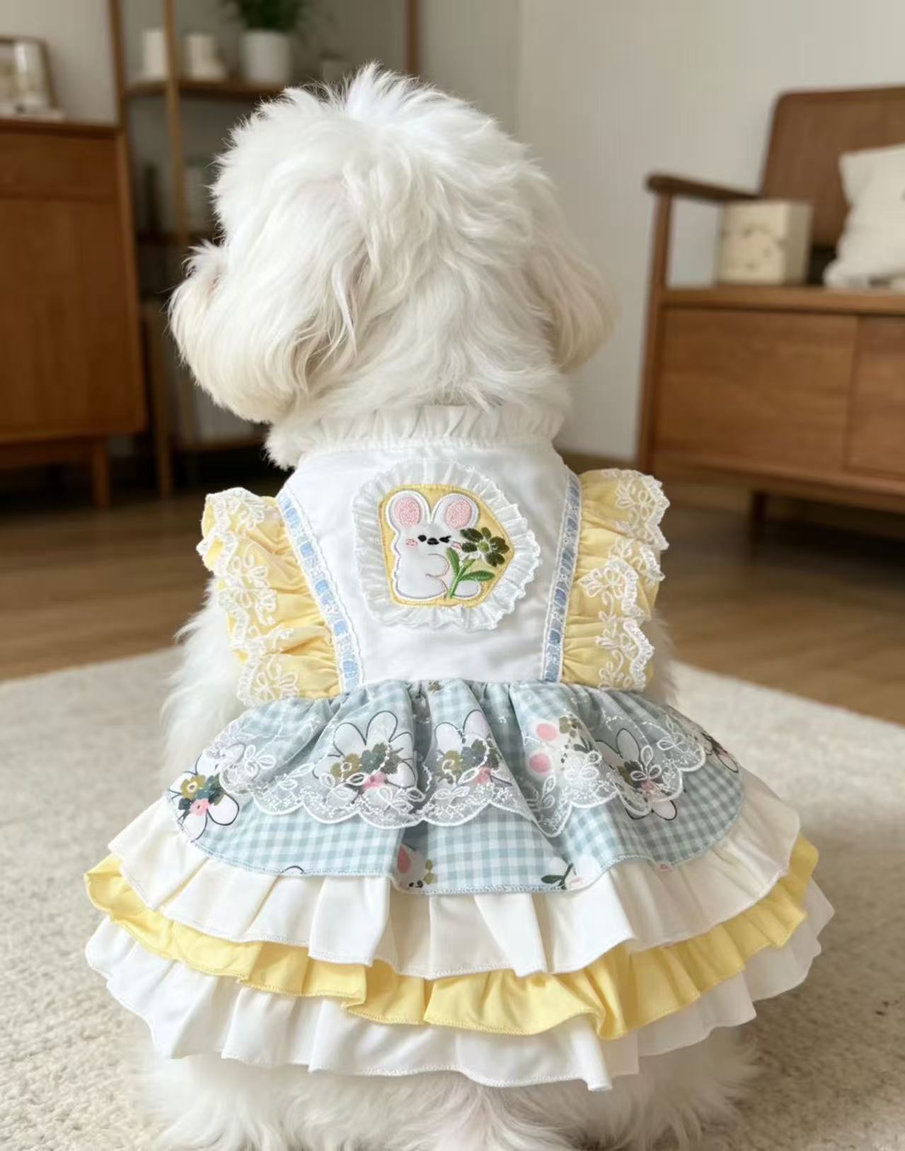 A yellow and white contrasting pet dress with cartoon patchwork embroidery and multi-layered lotus leaf lace, creating an atmosphere for daily photos