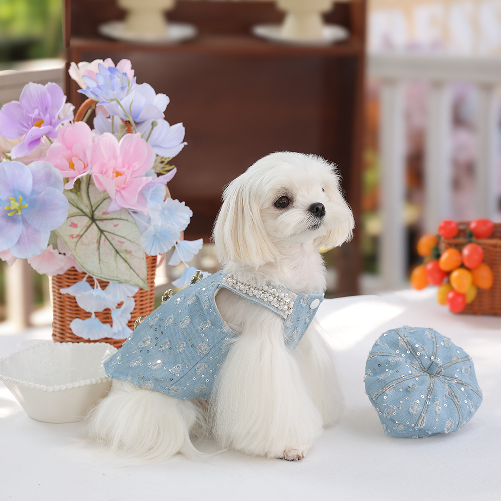 Heavy industry pearl shoulder strap denim pet vest with sequined jacquard flower buttons creates an atmosphere. The pet outing top can be paired with a beret Application Scenario