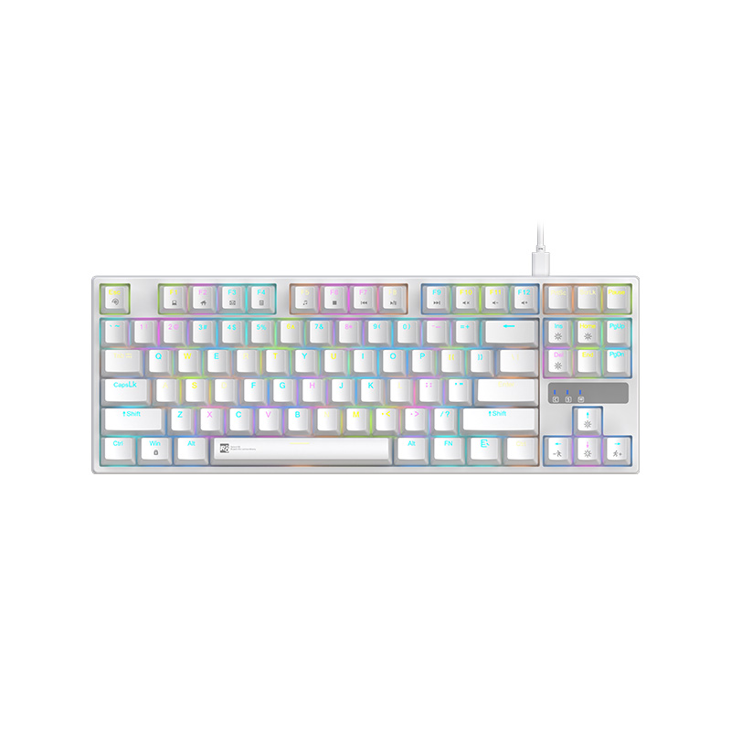 R8 RGB illuminated mechanical keyboard for gaming, office and commercial use