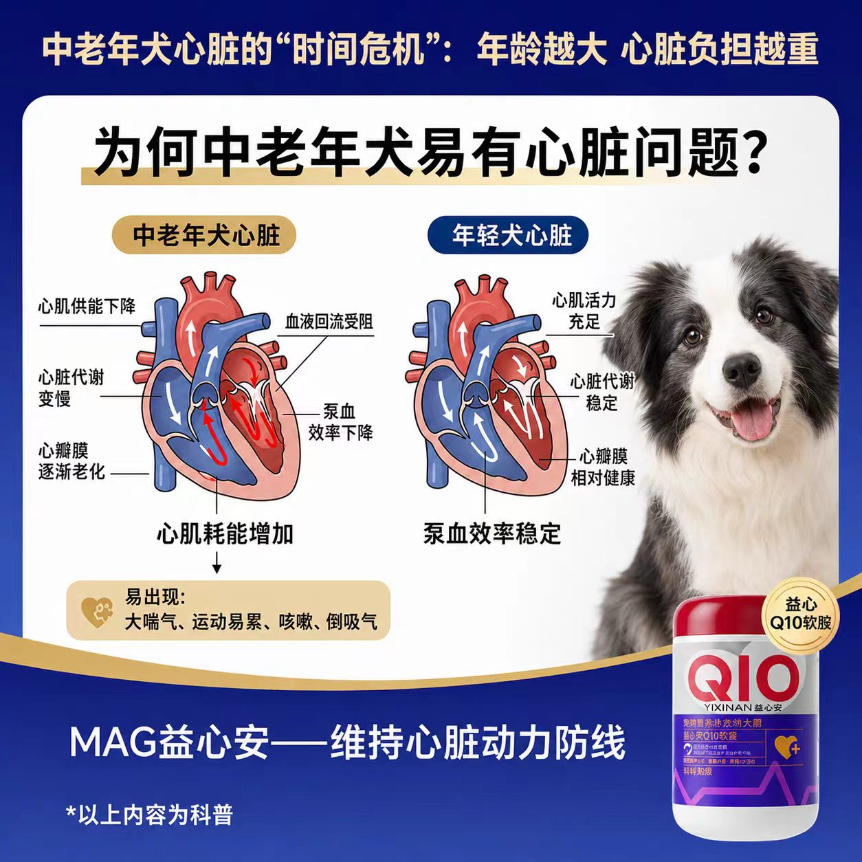 MAG's full range of pet nutrition products, including fish oil, probiotics, goat milk powder, chondroitin and lecithin, are available for wholesale and retail for dogs and cats. For orders, please contact customer service Application Scenario