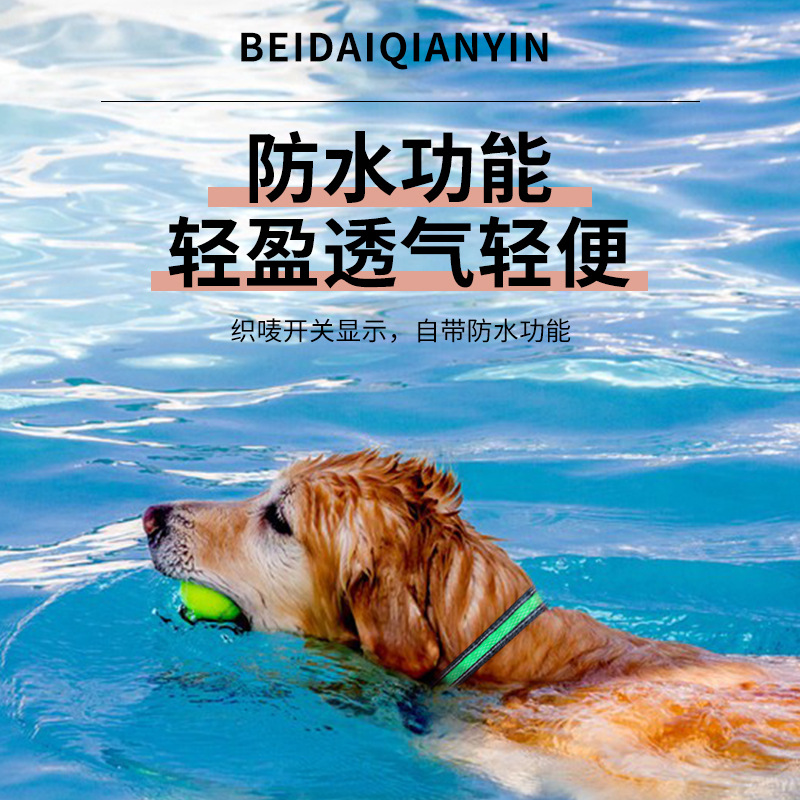 LED luminoso type-c recargable nylon mesh cloth pet collar para perros grandes y pequeños a prueba de agua cuello cuello manga tira details Picture