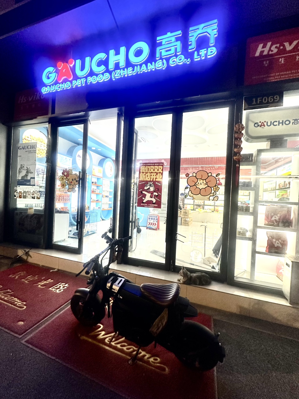 高乔