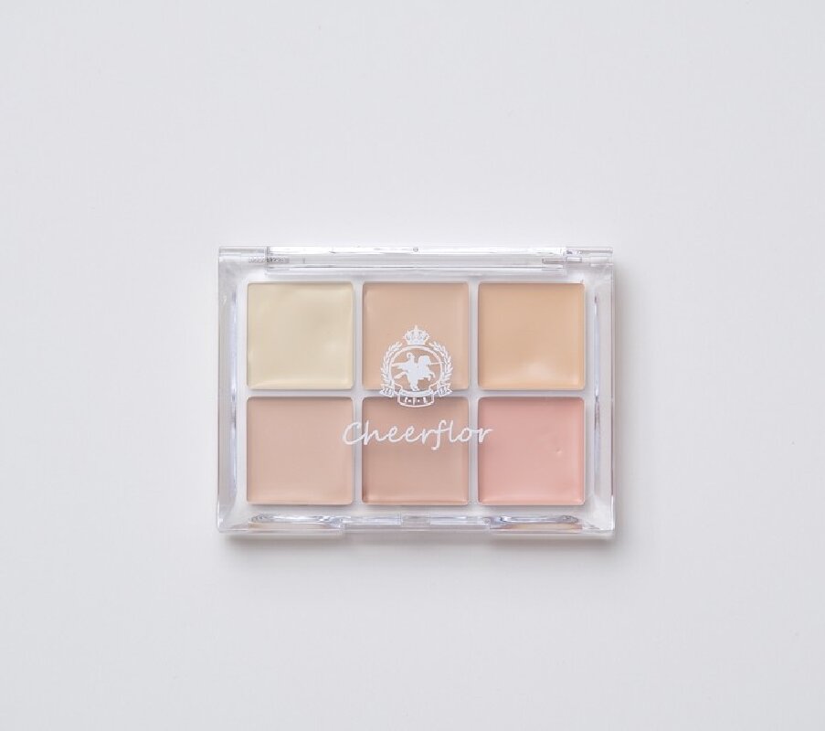 CHEERFLOR 6-color concealer palette