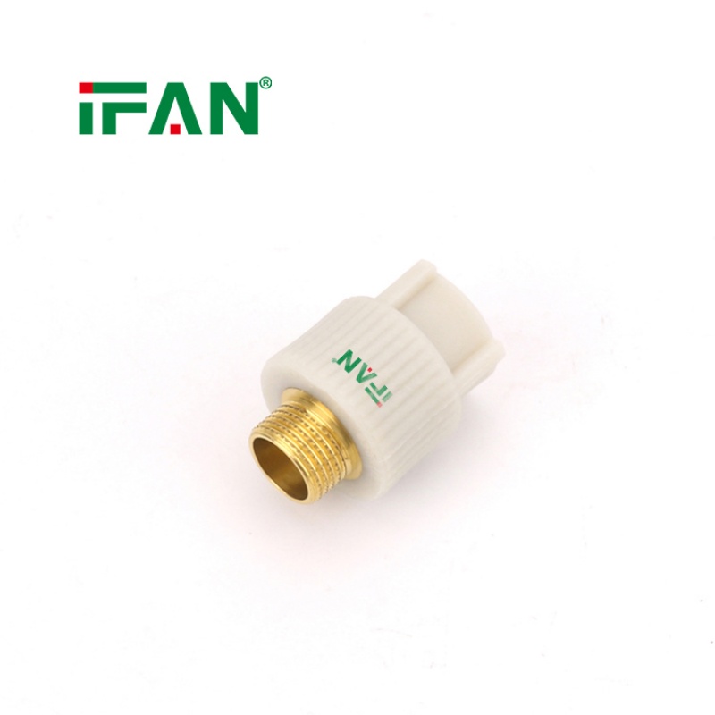 IFAN Brass Insert PPR Pipe Fittings Male Socket Fittings Item Picture