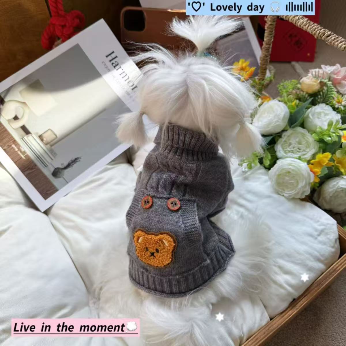 Grey twisted lapel teddy bear pocket pet sweater, autumn and winter small dog Teddy Bichon Frise dog knitted clothes