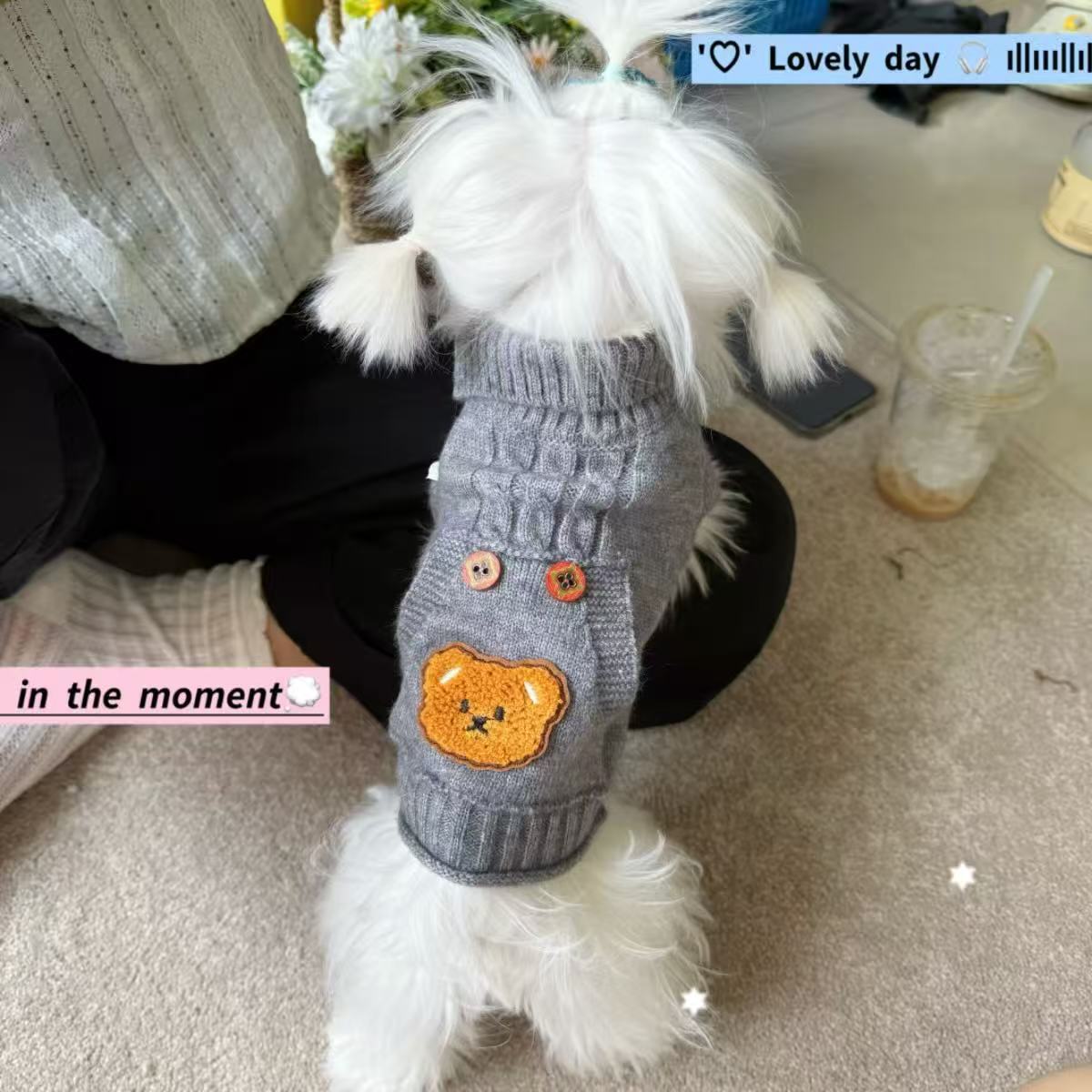 Grey twisted lapel teddy bear pocket pet sweater, autumn and winter small dog Teddy Bichon Frise dog knitted clothes Specification image