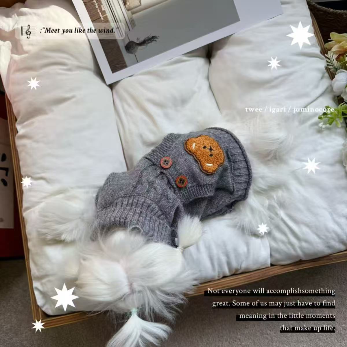 Grey twisted lapel teddy bear pocket pet sweater, autumn and winter small dog Teddy Bichon Frise dog knitted clothes Application Scenario