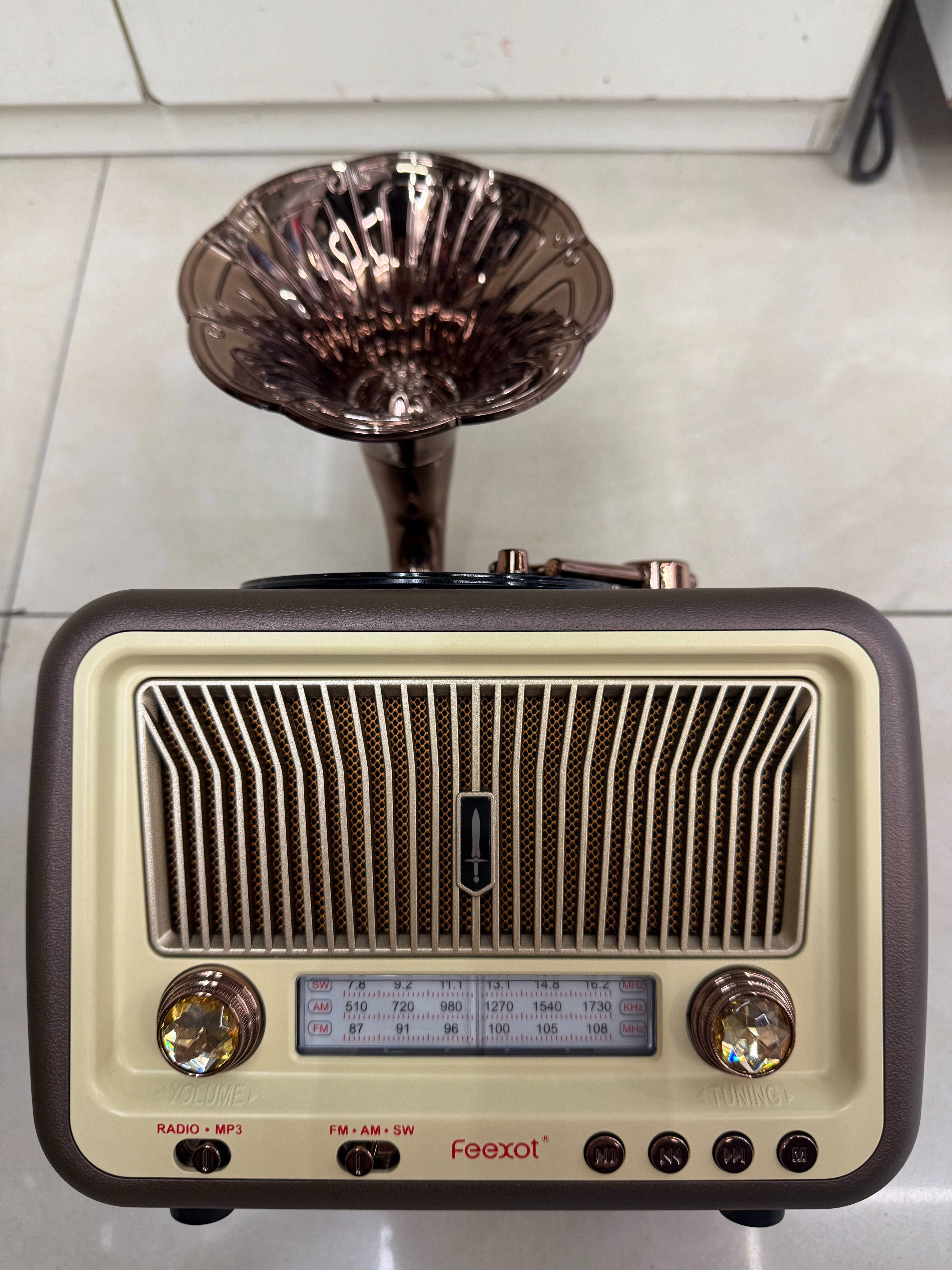 جهاز راديو طراز FX-2528B مقطوعات من طراز البلوتوغراف متعدد الأغراض يعمل على موجات خشبية متعددة الترددات من طراز Bluoto، يعمل على بث الموسيقى لكبار السن