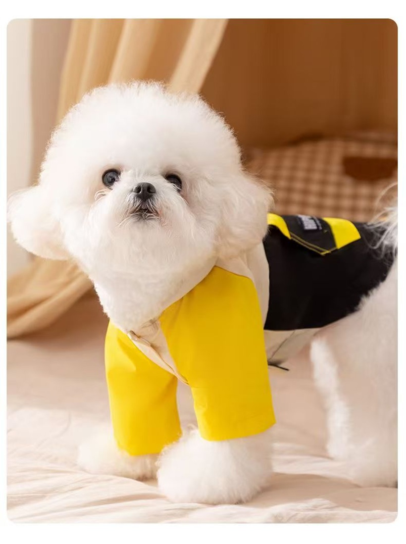 Macaron versatile hoodie for dogs, warm in autumn and winter. Bichon Frise towing hoodie for small and medium-sized dogs Item Picture