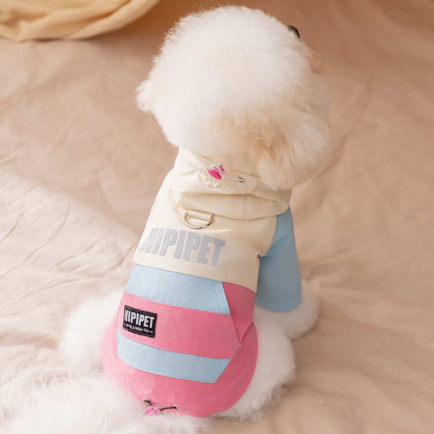 Macaron versatile hoodie for dogs, warm in autumn and winter. Bichon Frise towing hoodie for small and medium-sized dogs Specification image
