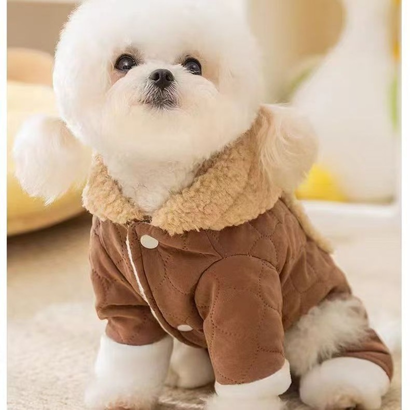 Little bear ear plush hooded pet four-legged cotton coat, thick and warm for autumn and winter, small dog outdoor cotton coat Application Scenario