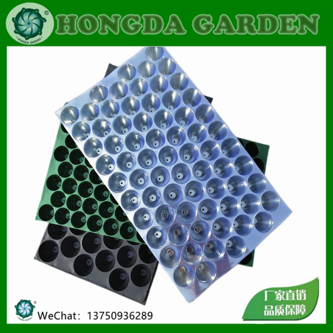 Bandeja de plántulas de PVC con agujeros redondos 54‑100 agujeros multicolor opcional maíz chili melón vegetal plántulas bandeja de agujeros