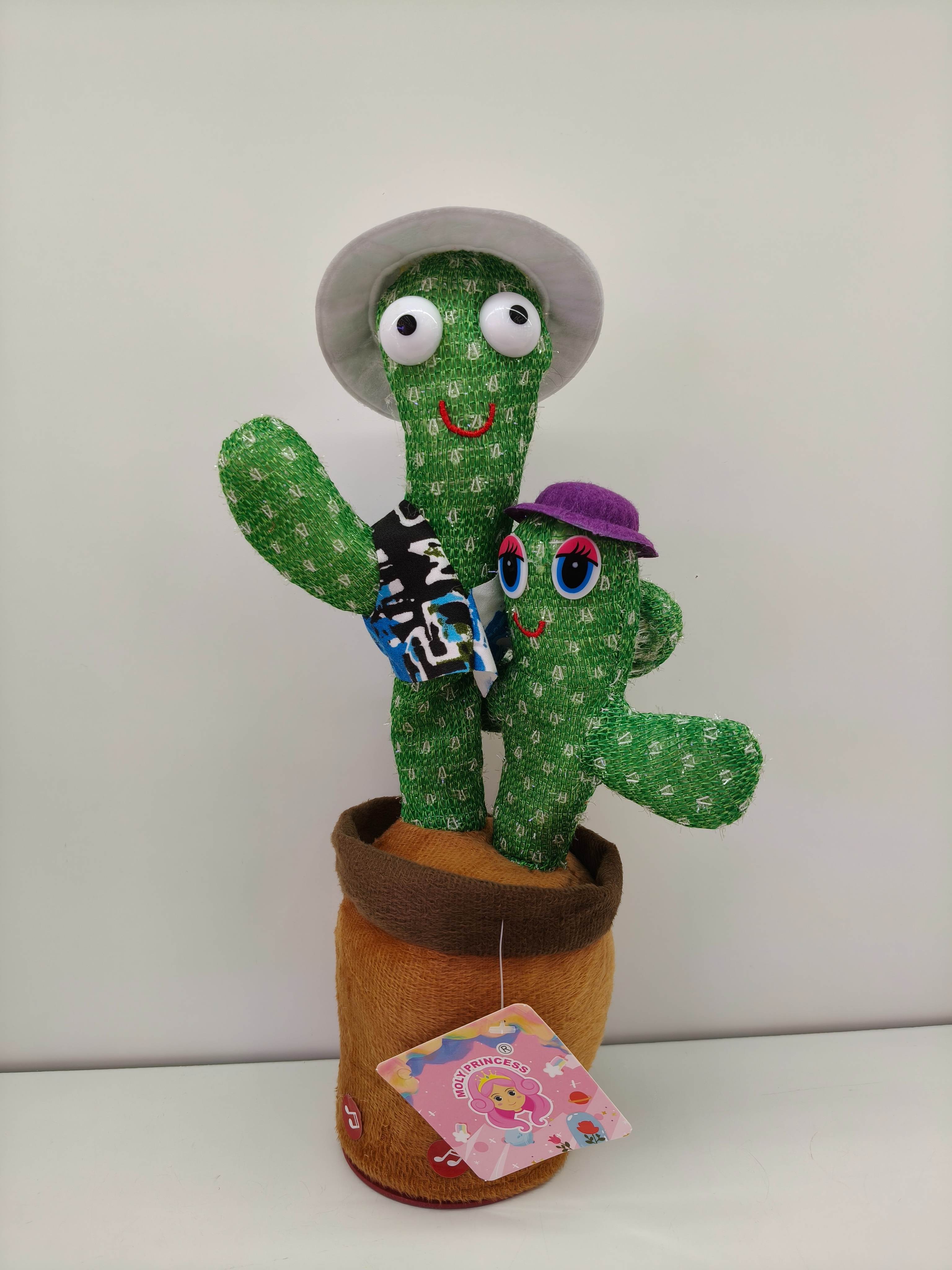 Dress up, mother and child, cactus learning to speak and dance, cactus twisting toys, children's gifts Specification image