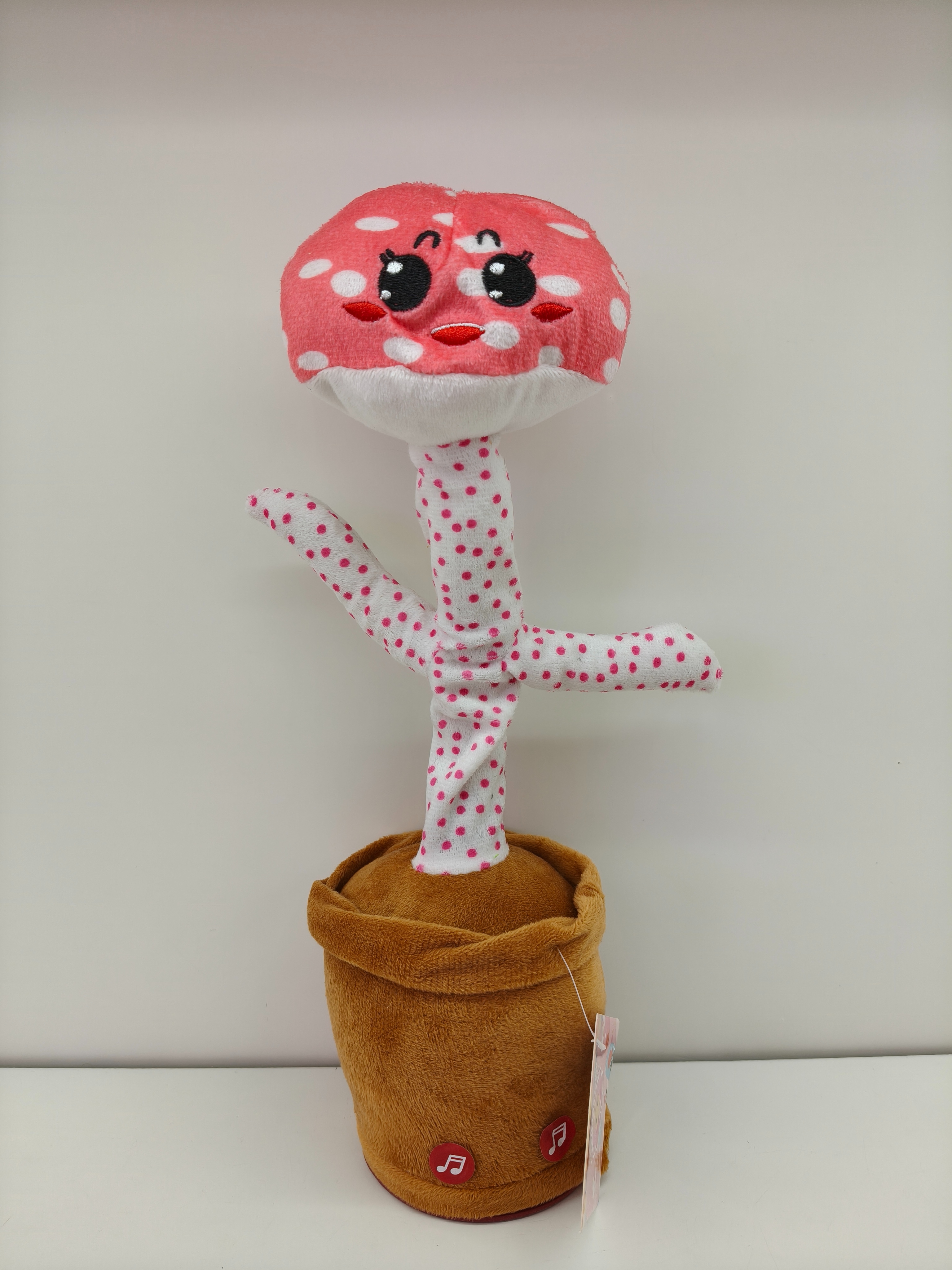 Mushrooms, cacti, Musical Instruments, twisty, singing, companionship toys, children's gifts